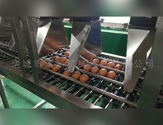 單排雞蛋清洗機鴨蛋洗蛋機生產廠家